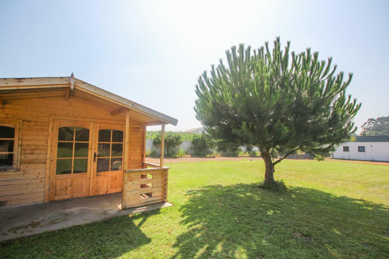 Quinta Da Aldeia De Avanca Farm stay